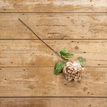 Load image into Gallery viewer, Beige &amp; Pink Peony Stem, 27&quot;