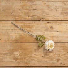 Load image into Gallery viewer, Beige Peony Stem, 19&quot;