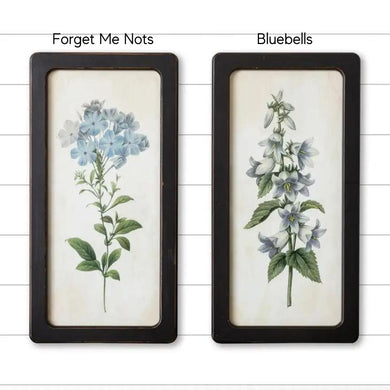 Framed Prints - Bluebells and Forget Me Nots