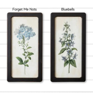 Framed Prints - Bluebells and Forget Me Nots