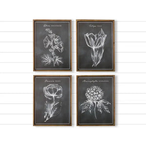 Chalk Style Botanical Prints, 4 Stules