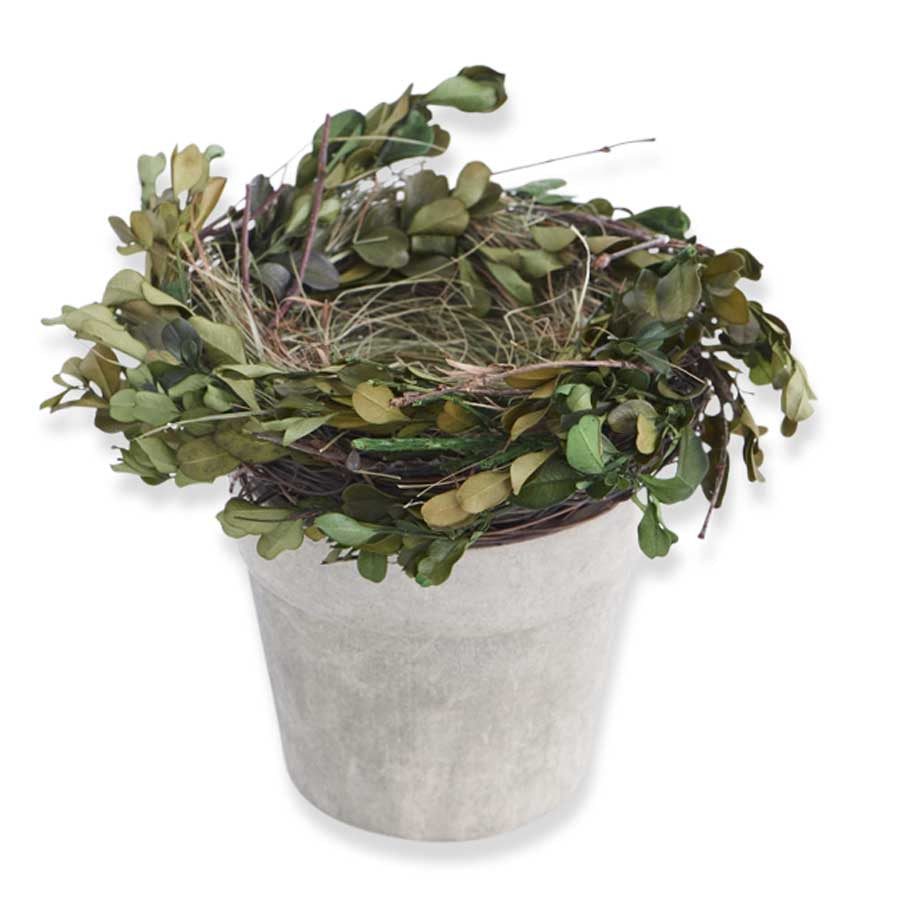 Boxwood & Grass Nest on Pot