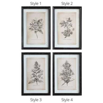 Black Framed Floral Wall Prints (4 Styles)