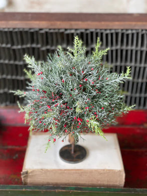 Frosted Scarlet Cedar Half Sphere | 9