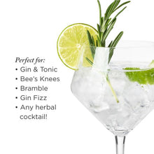 Load image into Gallery viewer, Angled Crystal Gin &amp; Tonic Glasses, Set of 2
